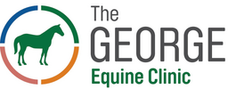 The George Equine Vets