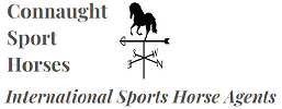 Connaught Sport Horses