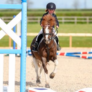 Unaffiliated Show Jumping - 16th Aug
