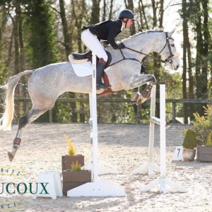 Eventer's Combined Training - 1st April