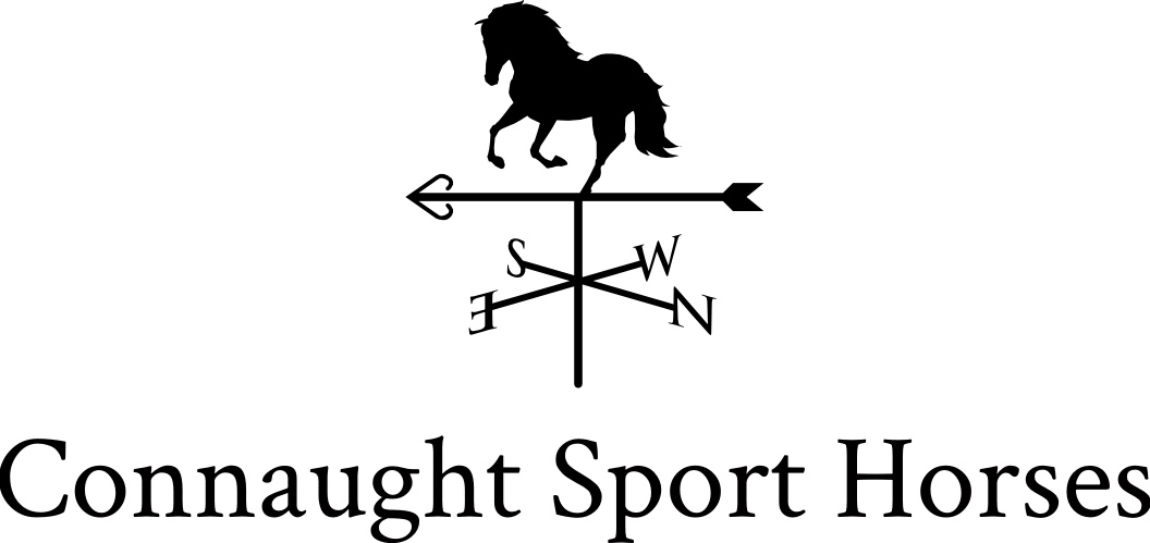 Connaught Sport Horses