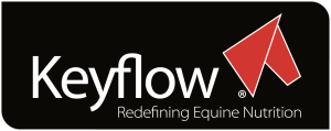 Keyflow Logo
