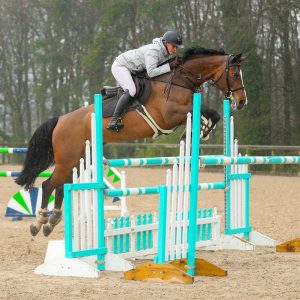 Unaffiliated Show Jumping - 14th June