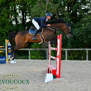 Eventer's Combined Training - 4th March