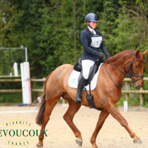 Eventer's Combined Training - 18th March