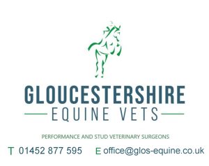 Gloucestershire Equine Vets